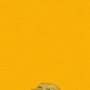 Meet your Posher, Ammie